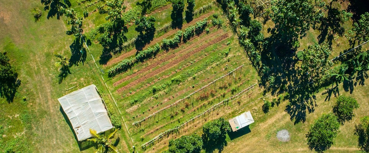 Bulaccino Organic Farm Tour